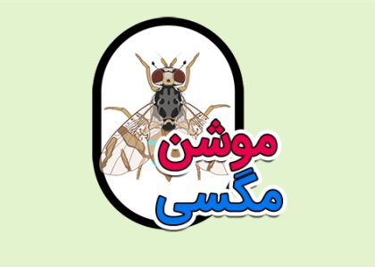 موشن گرافیک کشاورزی مدرن